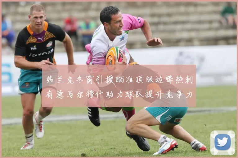 弗兰克冬窗引援瞄准顶级边锋热刺有意马尔穆什助力球队提升竞争力