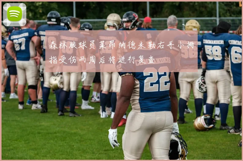 森林狼球员莱昂纳德米勒右手小拇指受伤两周后将进行复查